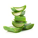 Aloe ( Aloe vera ) Aloe ( Aloe vera )