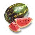 Vandmelon Vandmelon