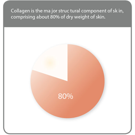 collagen-shot collagen-shot
