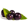 Acai Acai