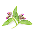 Allantoin Allantoin