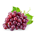 Vindruekerne Vindruekerne
