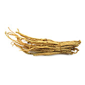 image of Panax Ginseng