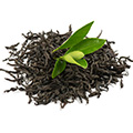 Green Tea Green Tea