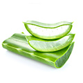 Aloe Vera Aloe Vera