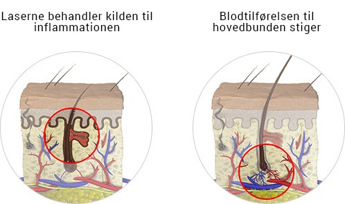 info_2_treatment info_2_treatment