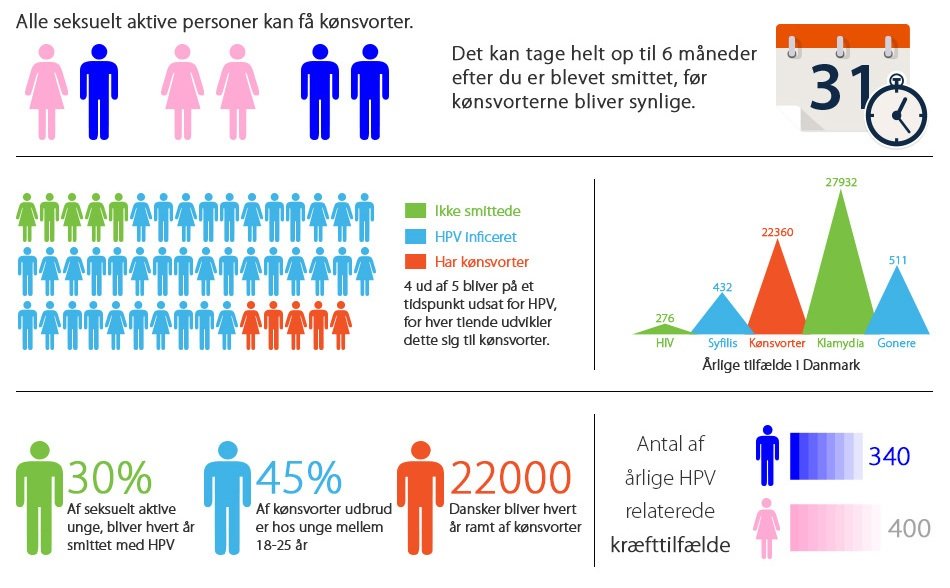 konsvorter-infograph
