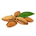 image of Sweet Almond Oil image of Sweet Almond Oil