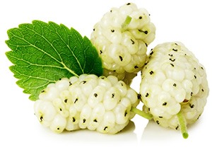 Naturligt eksfolierende ingredienser Naturligt eksfolierende ingredienser