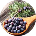 Juniper bær Juniper bær