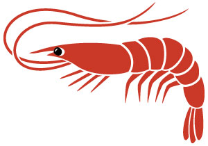 Maxmedix Antarctic Krill Oil Maxmedix Antarctic Krill Oil