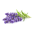 image of Lavender Oil image of Lavender Oil