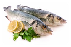 Fisk er godt Fisk er godt