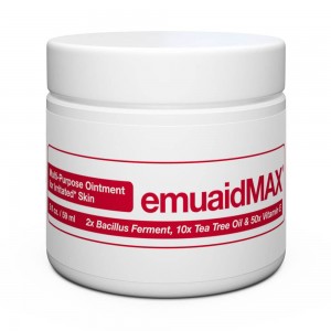 EmuaidMax Hudsalve