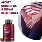 Med antioxidanter til at booste immunforsvaret