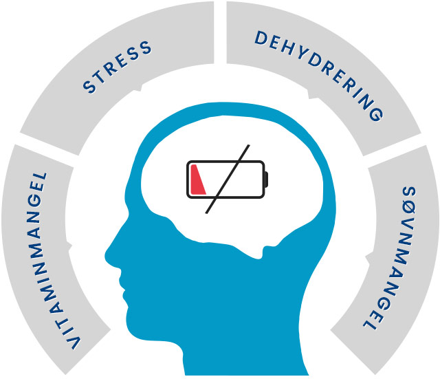 Brain Complex Brain Complex