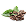Kaffe Scrub Kaffe Scrub